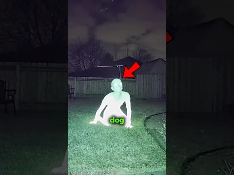 Is This Dog Okay? 😰