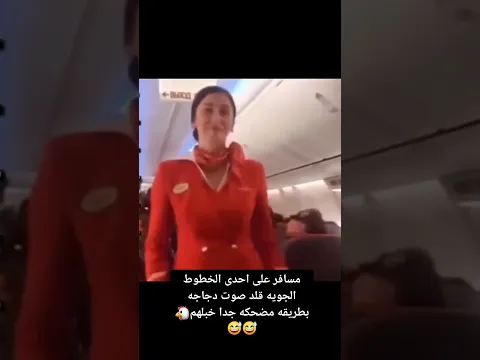 When a chicken boards the airplane 😂