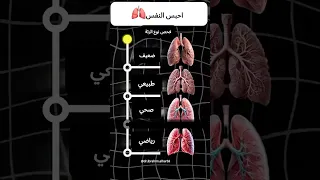 كم تستطيع حبس أنفاسك؟ تحدي اختبار الرئتين!