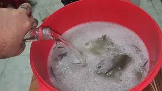BAÑO SACA MUERTO ELIMINA TODO TIPO DE MALDICIONES, BRUJERÍA Y MAL DE OJO