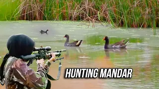 BERBURU BURUNG MANDAR JARAK DEKAT...POIN MELIMPAH! | HUNTING TOUR INDRAMAYU PART IV