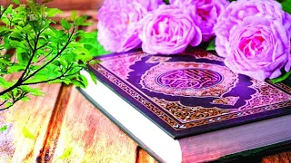 কুরআন তেলাওয়াত শুনতে প্রতি দিন ফজরের নামাজের পরে লাইভ এ যুক্ত থাকুন  ধন্যবাদ ❤️