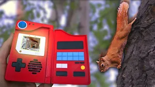 Finding all 289 Squirrel Species on planet earth pt.1 - Save the Squirrels initiative