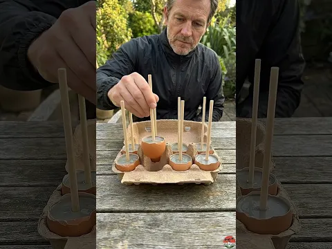 This $0 Egg Hack Looks Like a $100 Decor 🤯🍄  #garden