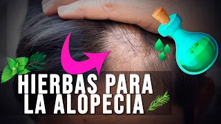 APLÍCATE ESTÁS PLANTAS PARA LA CALVICIE Y PARA TUS CEJAS
