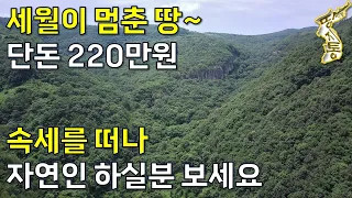 세월이 멈춘 땅~ 단돈220만원~속세를 떠나 자연인 하실분 보세요.계곡물 철철철~[땅지통]