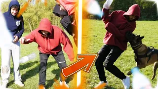 JEU DE LA BOUTEILLE EXTRÊME ! ( Des chiens nous attaquent ) 😱 Ft. @Koda