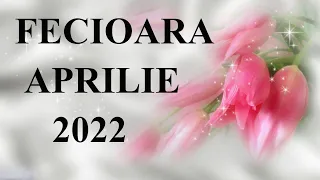 FECIOARA ~ CEVA NEBANUIT 💝TE SURPRINDE...😎~ APRILIE 2022 TAROT