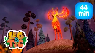 Leo & Tig - O Mistério da Floresta Queimada e mais episódios completos  | Desenho infantil 🐯🦁
