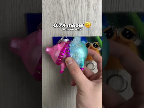 Will I find a keychain that fits? 🤔