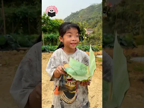 Sakız AĞACI 😊🥰
