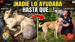 Todos lo grababan de lejos y nadie lo ayudaba, hasta que una promesa al oído le salvó la vida💔😢