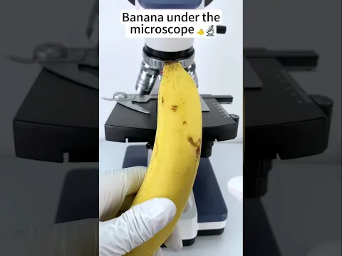 केला under the microscope 🔬😱 #shorts #facts #microscope