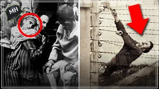 The SUFFERING of the PRISONERS in Auschwitz | the MANY PUNISHM3NTS in the N4zi camp