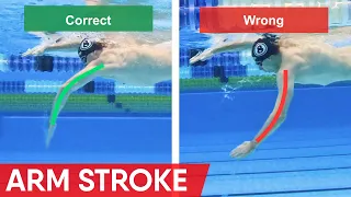 How to swim freestyle without getting TIRED