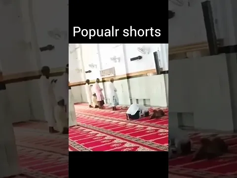 Masjid ke andar Bandar Baitha hua🤔☪️\#shorts