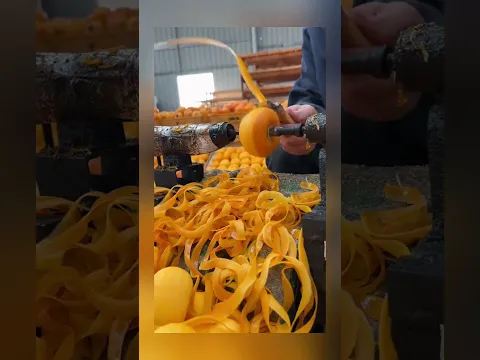 Самые невероятные видео снятые на камеру телефона | Часть 13