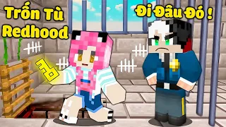 MỀU THỬ THÁCH 24GIỜ TRỐN KHỎI NHÀ TÙ TRÊN MÂY CỦA REDHOOD TRONG MINECRAFT*1 NGÀY REDHOOD BẮT CÓC MỀU
