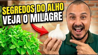 Coloque ALHO em suas PLANTAS e veja o incrível acontecer