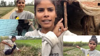 Hi friend mai ja rahi hu gas lene #viral #trending #shorts @Shakuntaladance432 ￼
