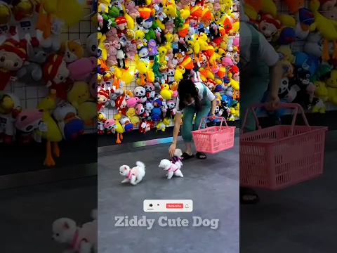 Cute puppy 🥰 and Baby funny🤣 Part 73~mini wood toy-wood working art skill /wood/handcraft /#shorts