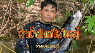 ดำน้ำยิงชโดใหญ่