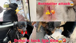 Yay kya ho gya aaj subh😱Rottweiler ne lock lga dea🔒🩸