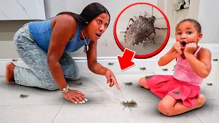 We FOUND BUGS in KIRAH'S Room 🪲😱