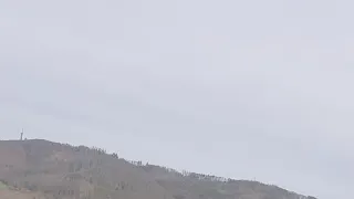 Nature lovers