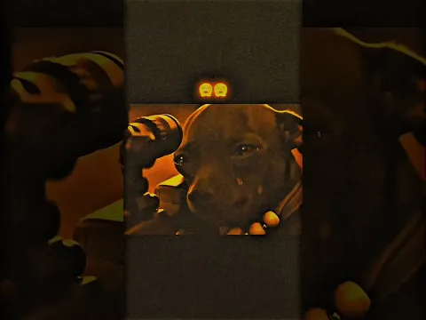 Isso foi a sua melhor escolha... #cena #dog #emotional