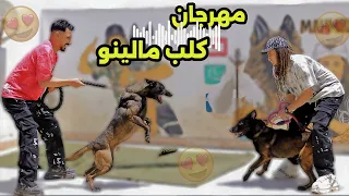 كليب صحبي اجدع كلب مالينو (يزعل علي زعلي اصل زميلو) توزيع مانو الهرم | موزه وعاصم هنيدي