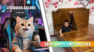 Let's enjoy the happy times together - collection of fun and interesting videos#funny #comedyvideo