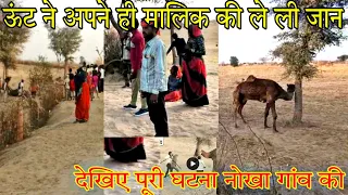नोखा में ऊंट ने अपने ही मालिक ले | आक्रोशित ग्रामीणों ने ऊंट ....