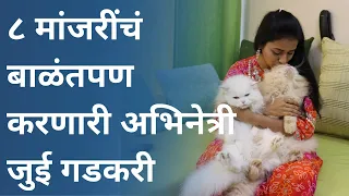 ८ मांजरींचं बाळंतपण करणारी अभिनेत्री जुई गडकरी - दिवाळी विशेष