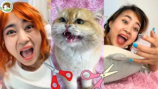 Smart cat cuts off all of his owner's hair | Funny and cute video Cat