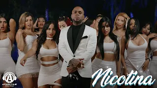 Musicologo The Libro - Nicotina (Video Oficial)