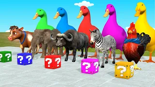 Long Slide Game With Elephant Gorilla Buffalo Hippopotamus Tiger - 3d Animal Game - Funny 3d Animals