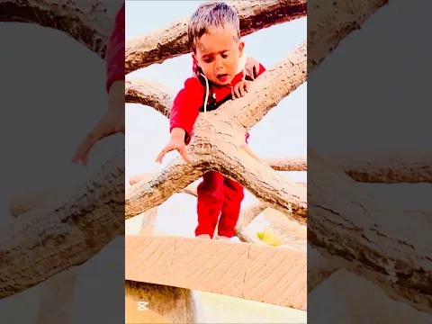 हे भगवान 🙏 कृपया मेरी मदद करें 🥺 O My God 🙏 Please Meri Help #trending #viralvideo #shorts