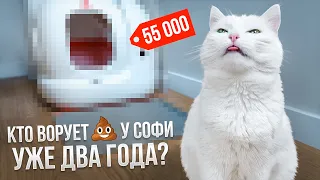 PURA MAX Petkit: ОБЗОР НА АВТОМАТИЧЕСКИЙ ЛОТОК / КАК МЫ ЖИЛИ БЕЗ НЕГО?