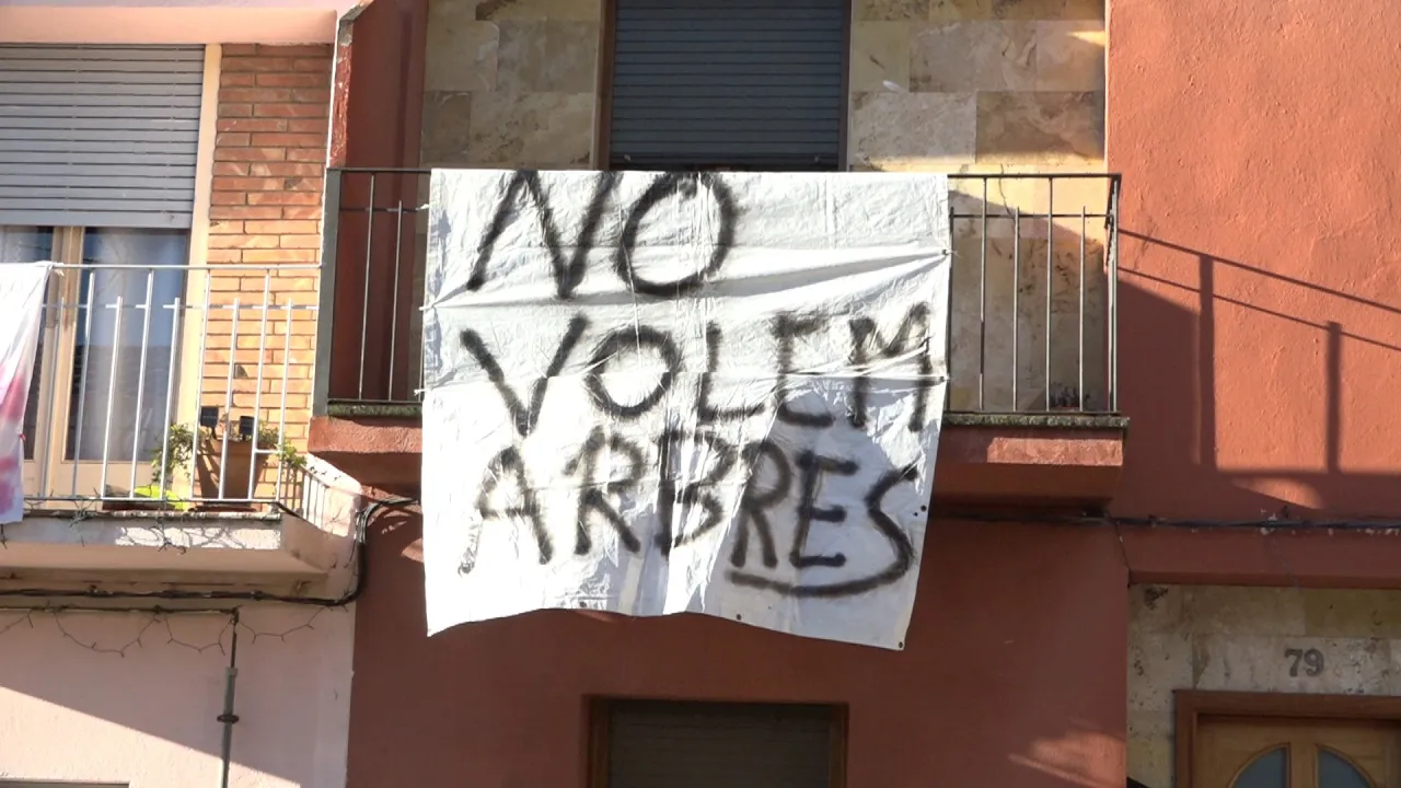 Queixes a Torelló pels arbres que volen plantar al carrer Núria