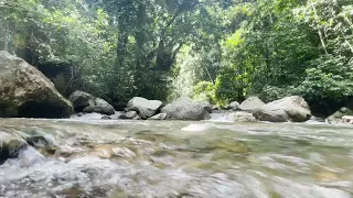Despierta renovado aguas del rio para dormir relajado sonido de la naturaleza