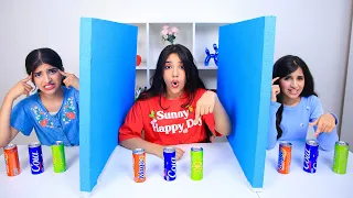 twin telepathy challenge !! Shfa