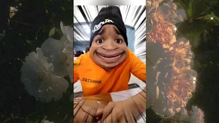 Cuando todo sale  mal locos videos de @alfredolarin(revisión divertida y análisis y critica