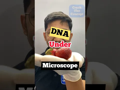 Strawberry DNA Under Microscope