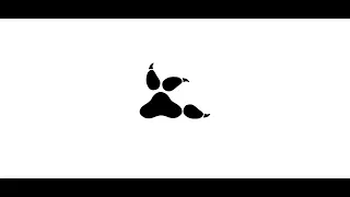 2c_leo - Peer pressure.