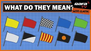 What do all the flags mean in F1?
