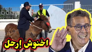 بعد غلاء المحروقات المواطنون يبدلون سيارتهم بالحمير  #أخنوش إرحل #7dh_gazoil  #8dh_essence