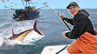 Big Tuna are Swimming Under these Commercial Boats...