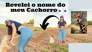 Primeiro Vídeo Do Canalll😻   #agro #agronegocio #pets #agrogirls #humor