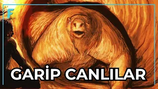İnsanlarla Beraber Yaşamış Garip Canlılar Ve Yok Oluşları